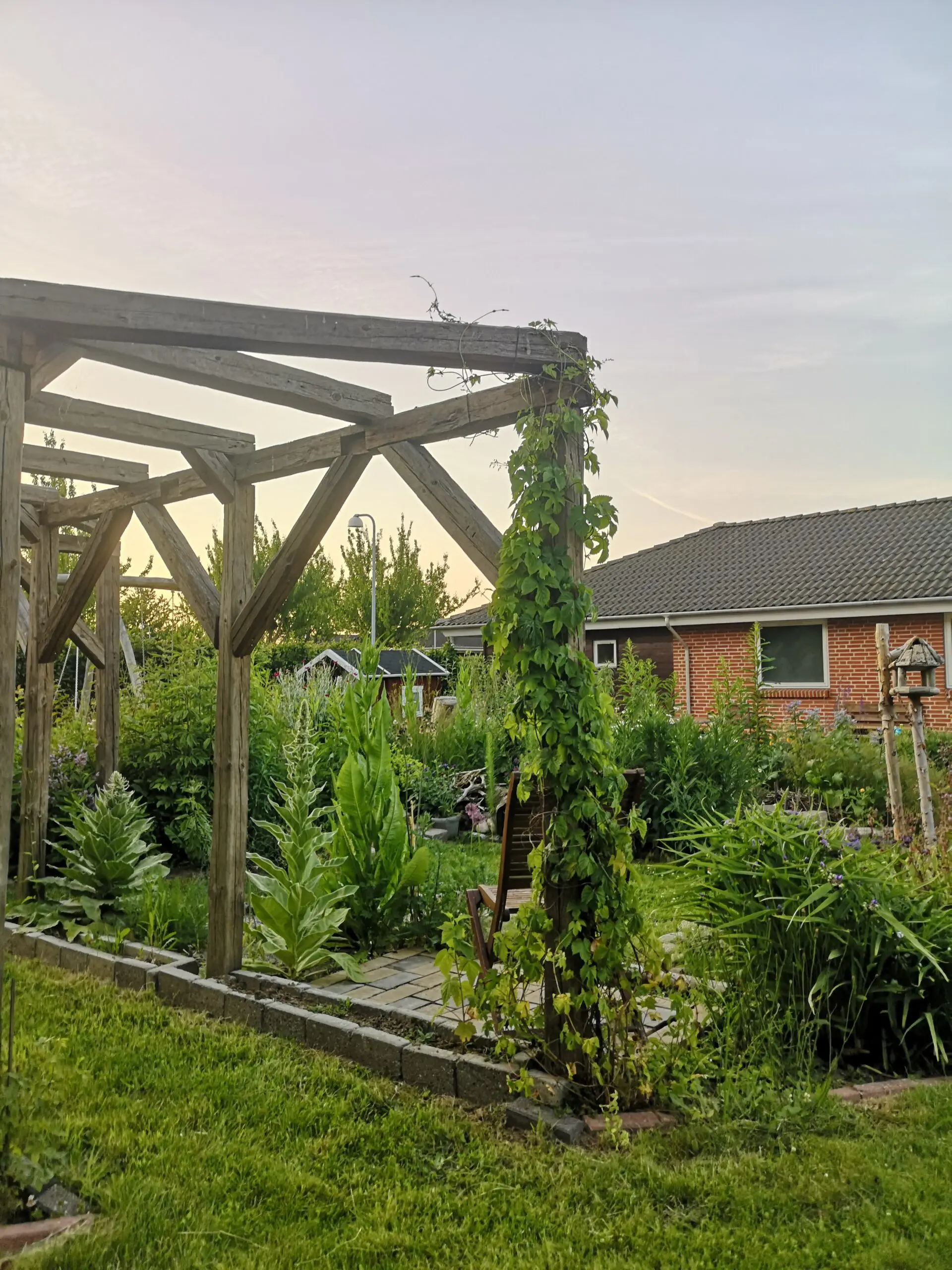 Pergola hos Vild i Villestofte