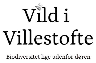 Vild i Villestofte - Biodiversitet lige udenfor døren